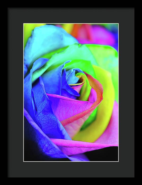 Flowers 2337 - Framed Print