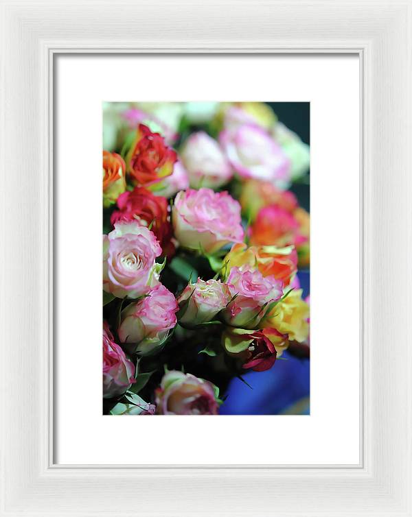 Flowers 260 - Framed Print