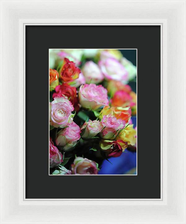 Flowers 260 - Framed Print