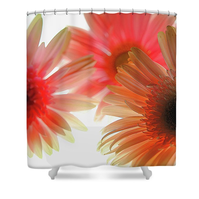 Flowers 2602 - Shower Curtain