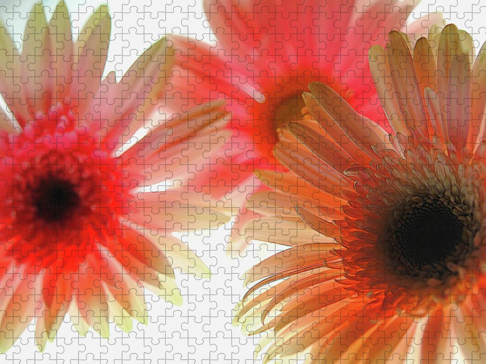 Flowers 2602 - Puzzle