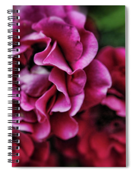 Fuchsia Flowers - Spiral Notebook