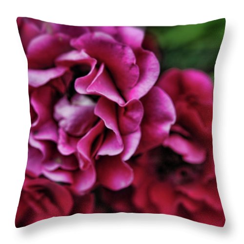 Fuchsia Flowers - Throw Pillow