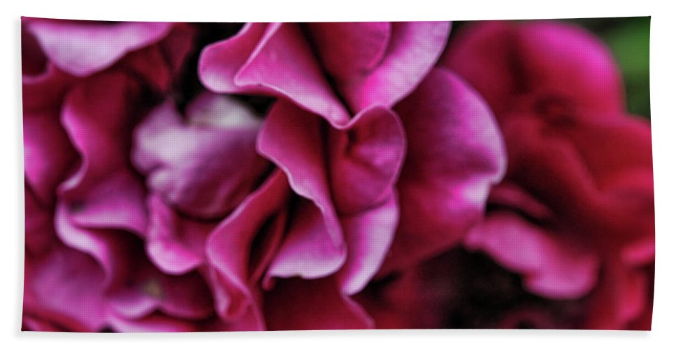 Fuchsia Flowers - Bath Towel