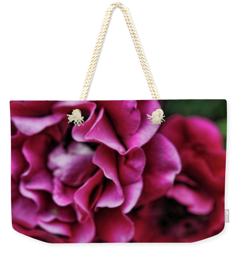 Fuchsia Flowers - Weekender Tote Bag