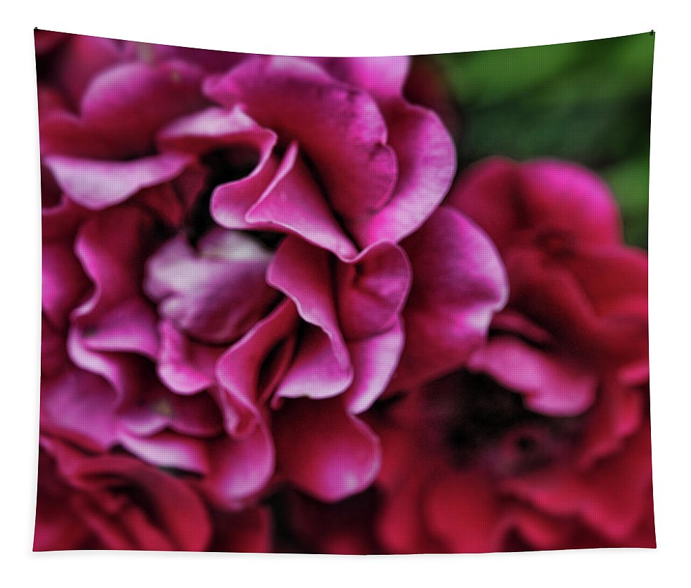 Fuchsia Flowers - Tapestry