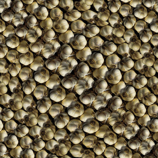 Garlic Pattern Digital Image Download