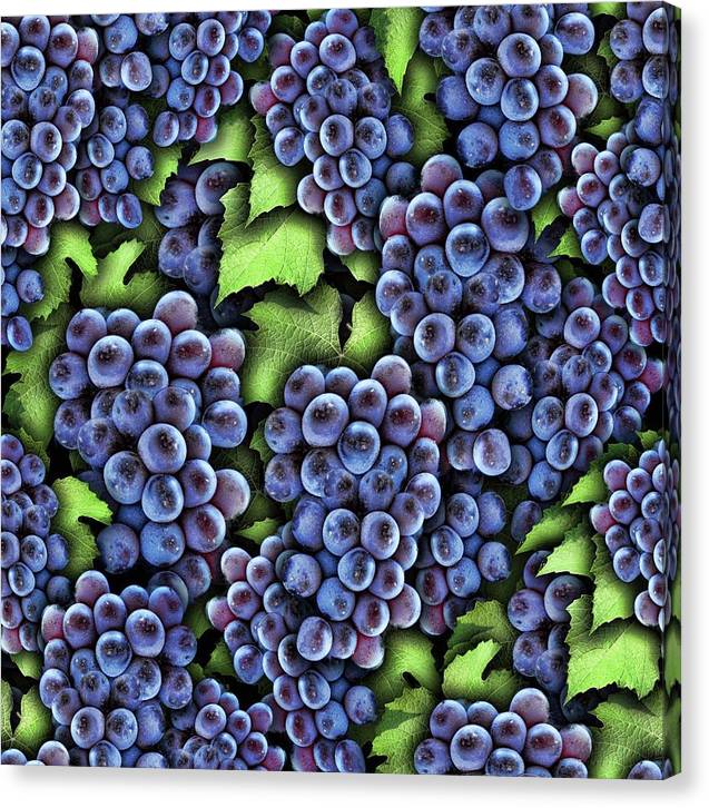 Grapes Pattern - Canvas Print