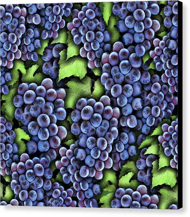 Grapes Pattern - Canvas Print