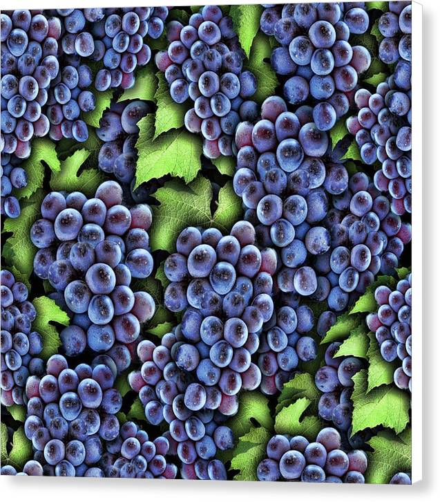 Grapes Pattern - Canvas Print