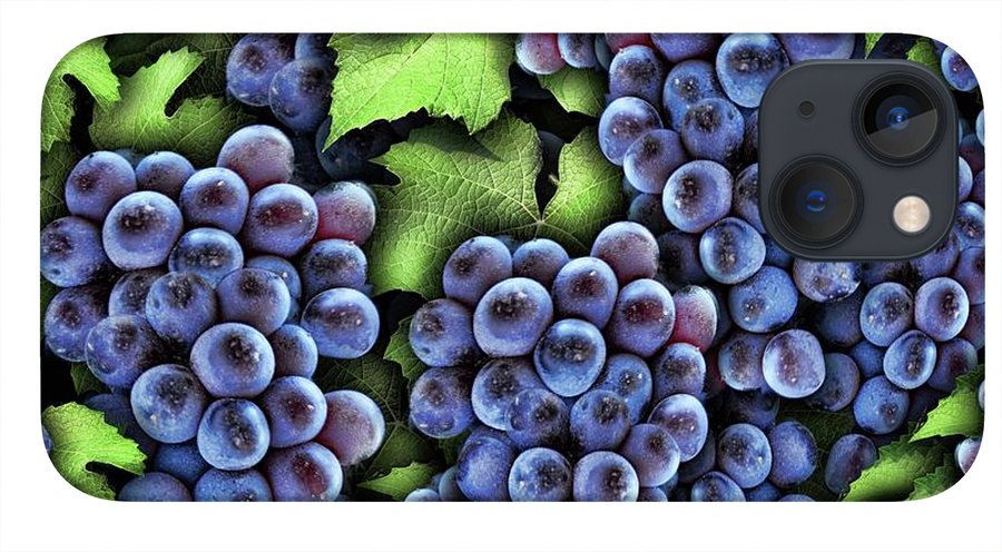 Grapes Pattern - Phone Case