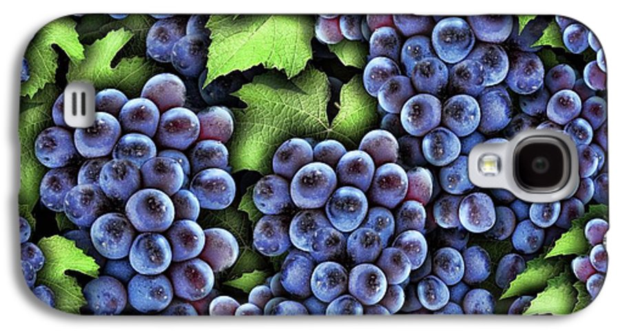 Grapes Pattern - Phone Case