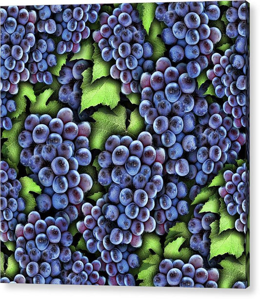 Grapes Pattern - Acrylic Print