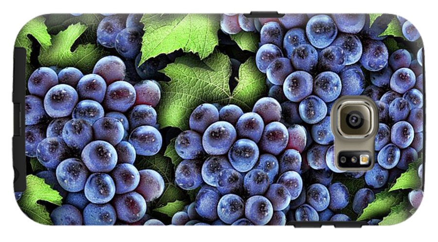 Grapes Pattern - Phone Case