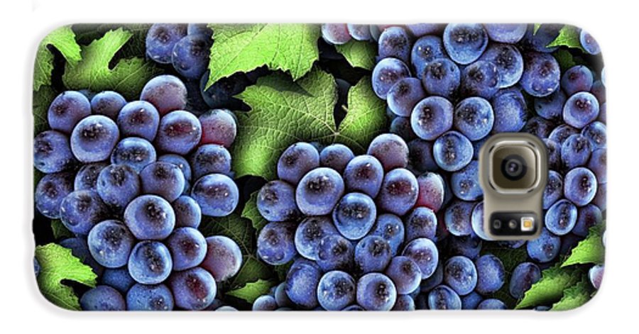 Grapes Pattern - Phone Case