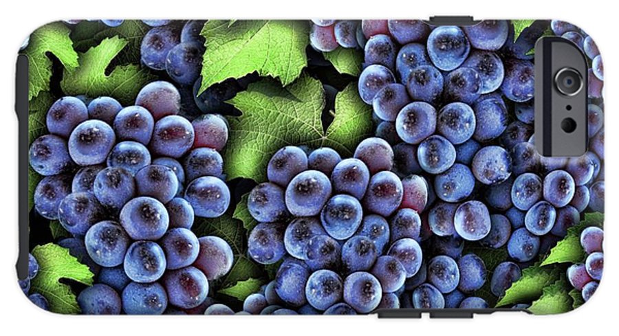 Grapes Pattern - Phone Case