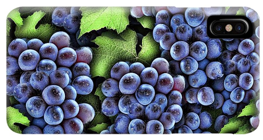 Grapes Pattern - Phone Case