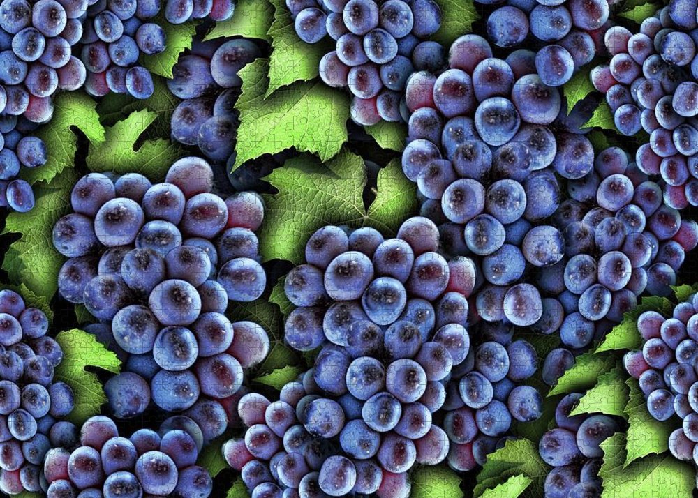 Grapes Pattern - Puzzle