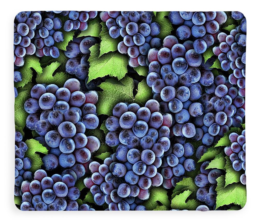 Grapes Pattern - Blanket