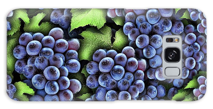 Grapes Pattern - Phone Case