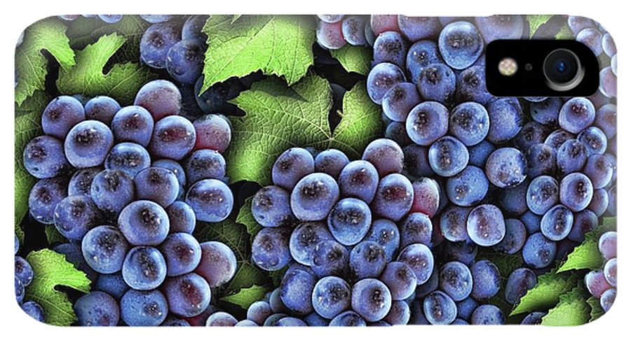 Grapes Pattern - Phone Case