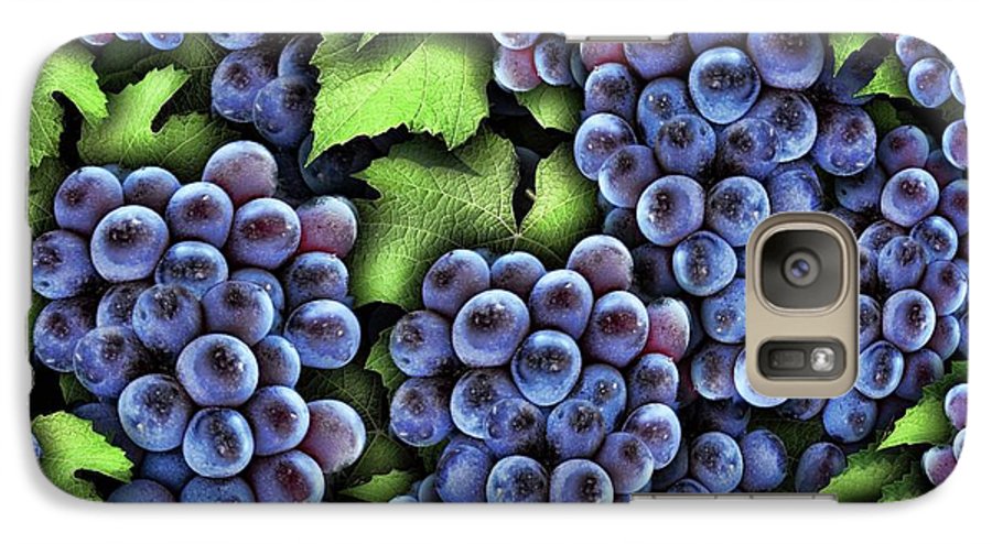 Grapes Pattern - Phone Case