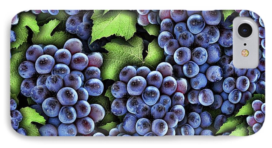 Grapes Pattern - Phone Case