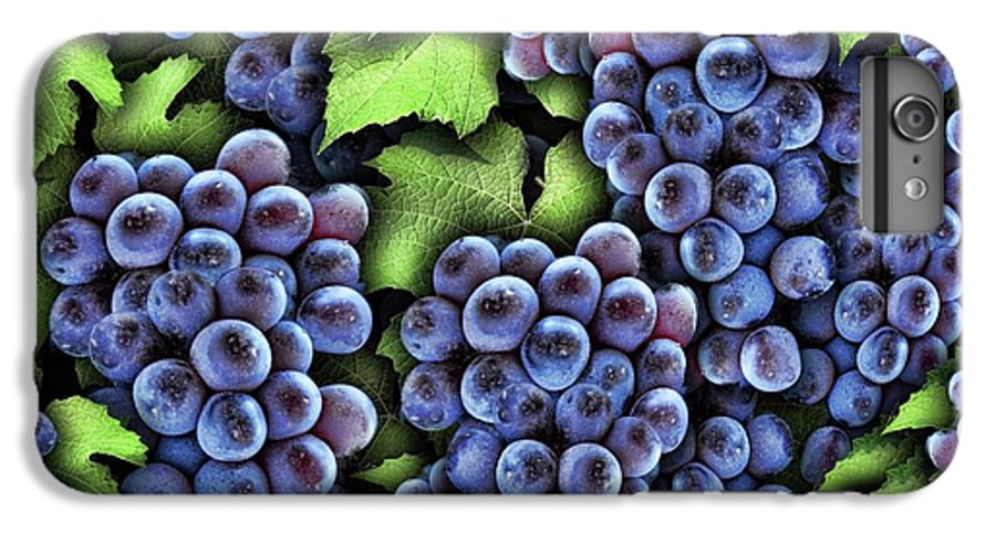 Grapes Pattern - Phone Case