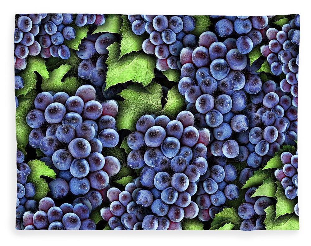 Grapes Pattern - Blanket