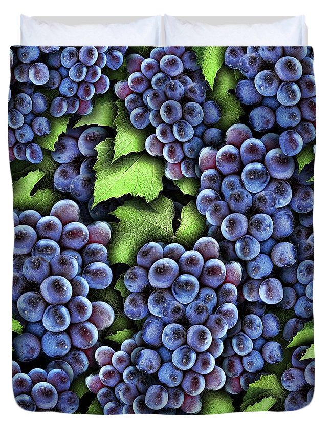 Grapes Pattern - Duvet Cover