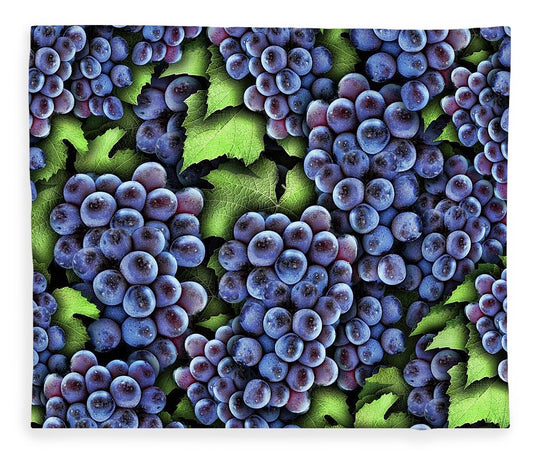 Grapes Pattern - Blanket