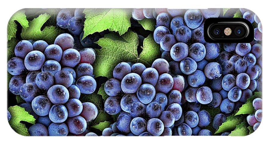 Grapes Pattern - Phone Case