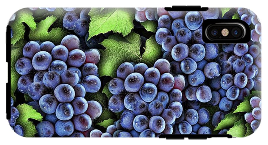 Grapes Pattern - Phone Case