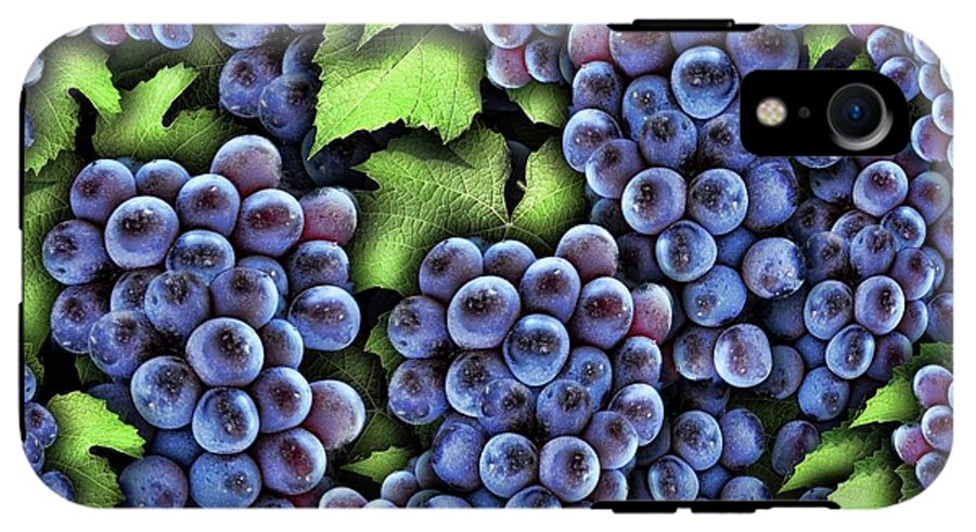 Grapes Pattern - Phone Case