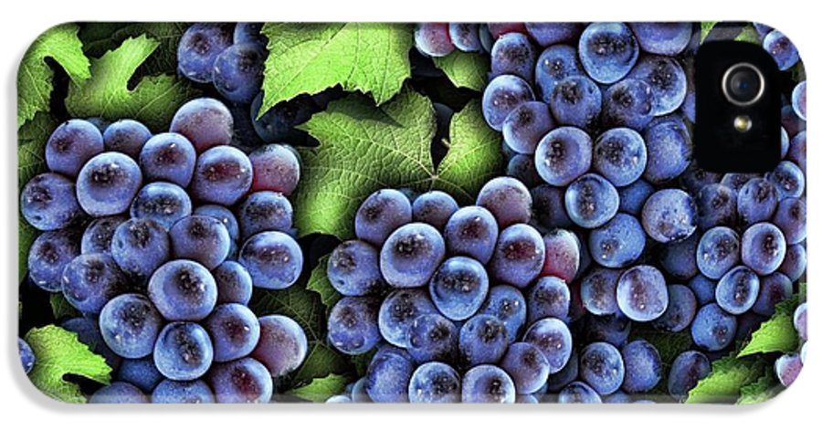 Grapes Pattern - Phone Case