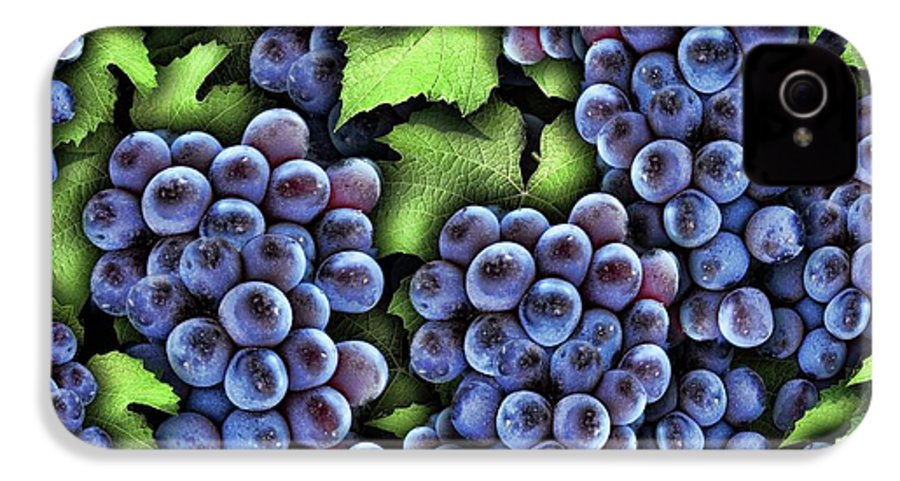 Grapes Pattern - Phone Case