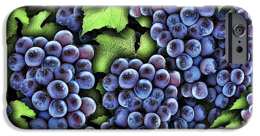 Grapes Pattern - Phone Case