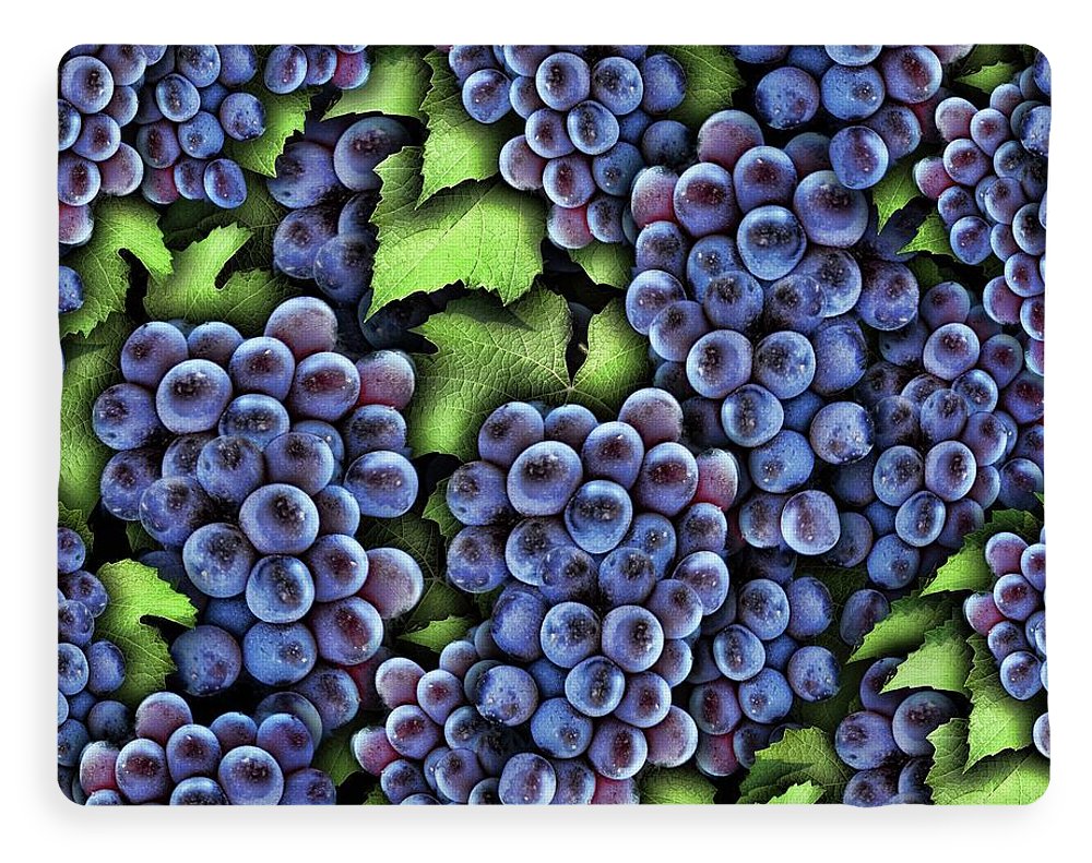 Grapes Pattern - Blanket