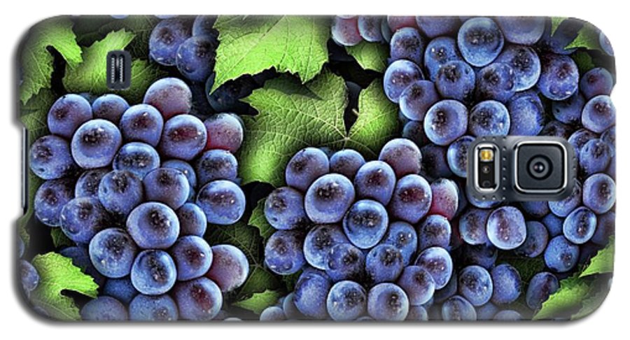 Grapes Pattern - Phone Case