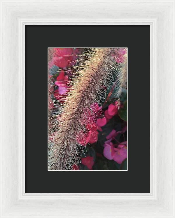 Grass and Geraniums - Framed Print