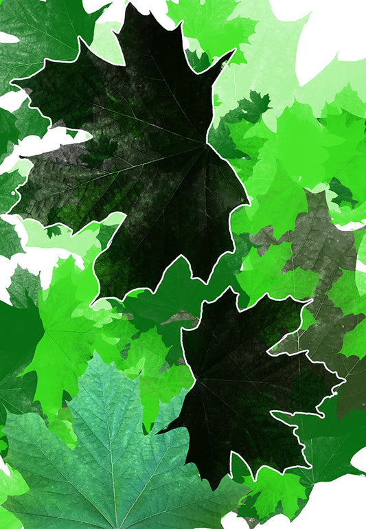 Green Leaves Digital Image Download
