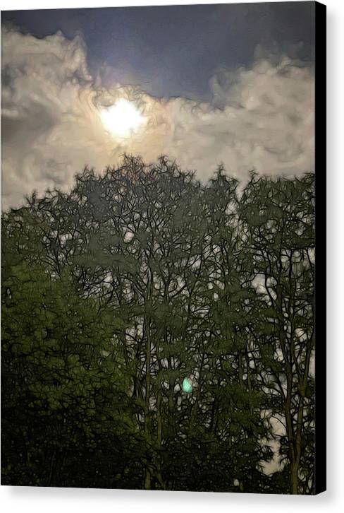 Harvest Moon Over Trees - Canvas Print