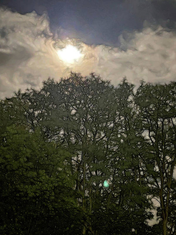 Harvest Moon Over Trees - Art Print