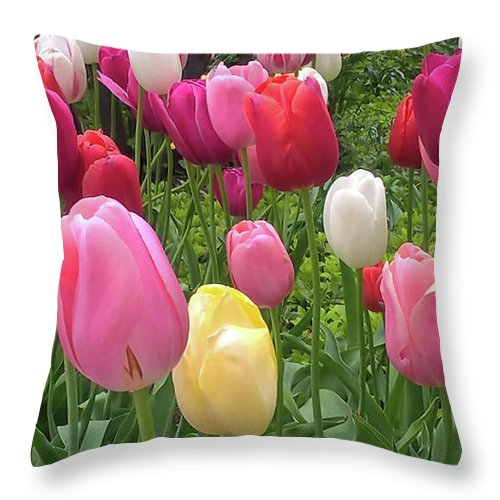 Home Chicago Tulips - Throw Pillow