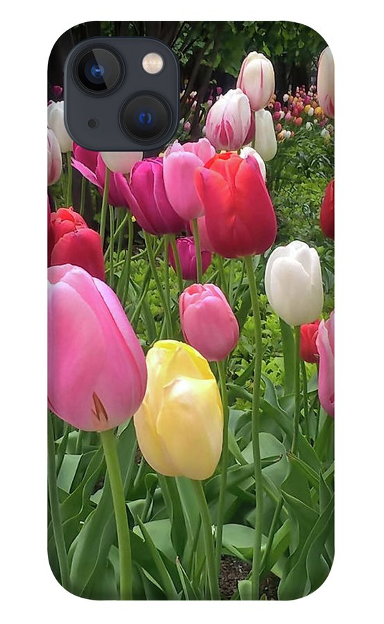 Home Chicago Tulips - Phone Case