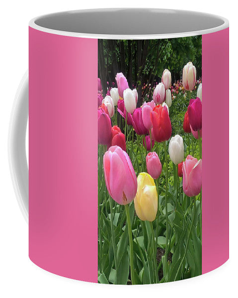 Home Chicago Tulips - Mug