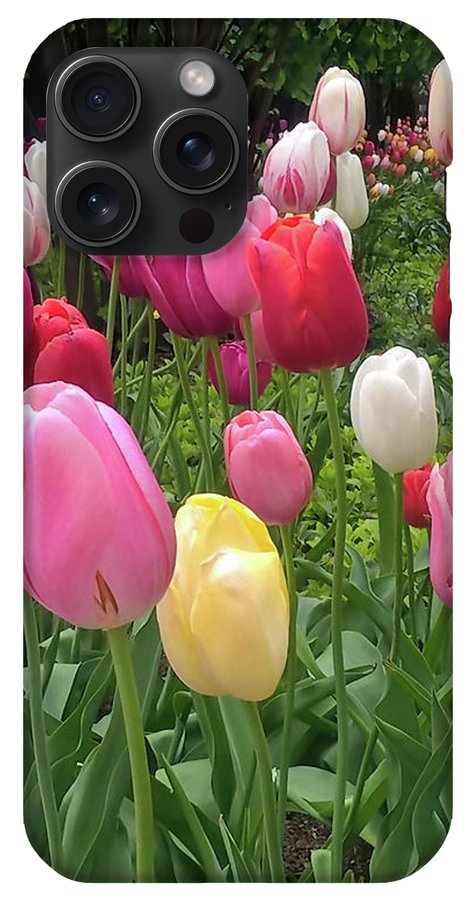 Home Chicago Tulips - Phone Case