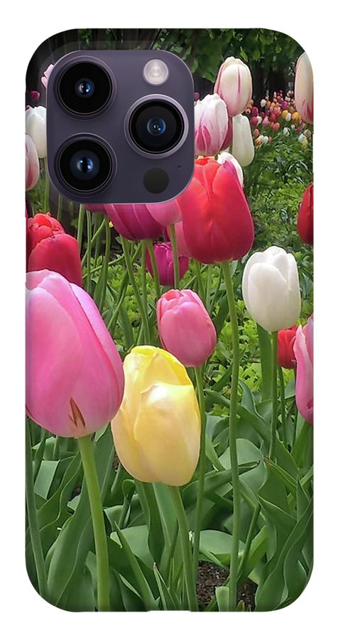 Home Chicago Tulips - Phone Case