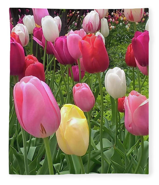 Home Chicago Tulips - Blanket