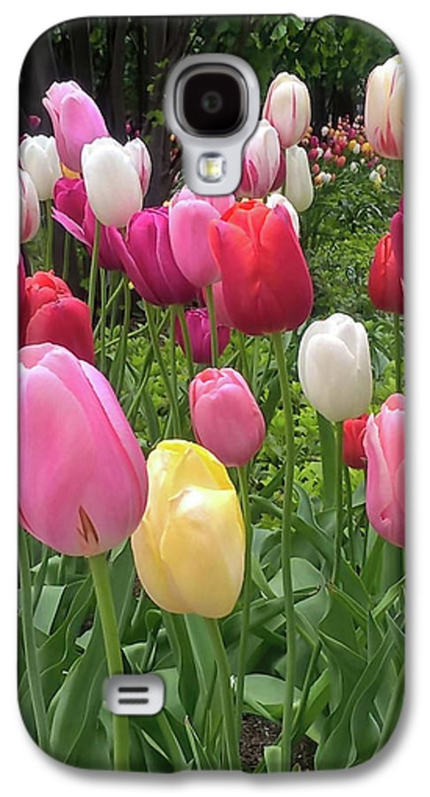 Home Chicago Tulips - Phone Case